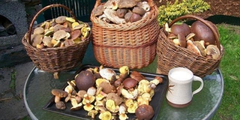 Da li je potrebno očistiti ulje od filma (oguliti): zašto pucati, originalne metode